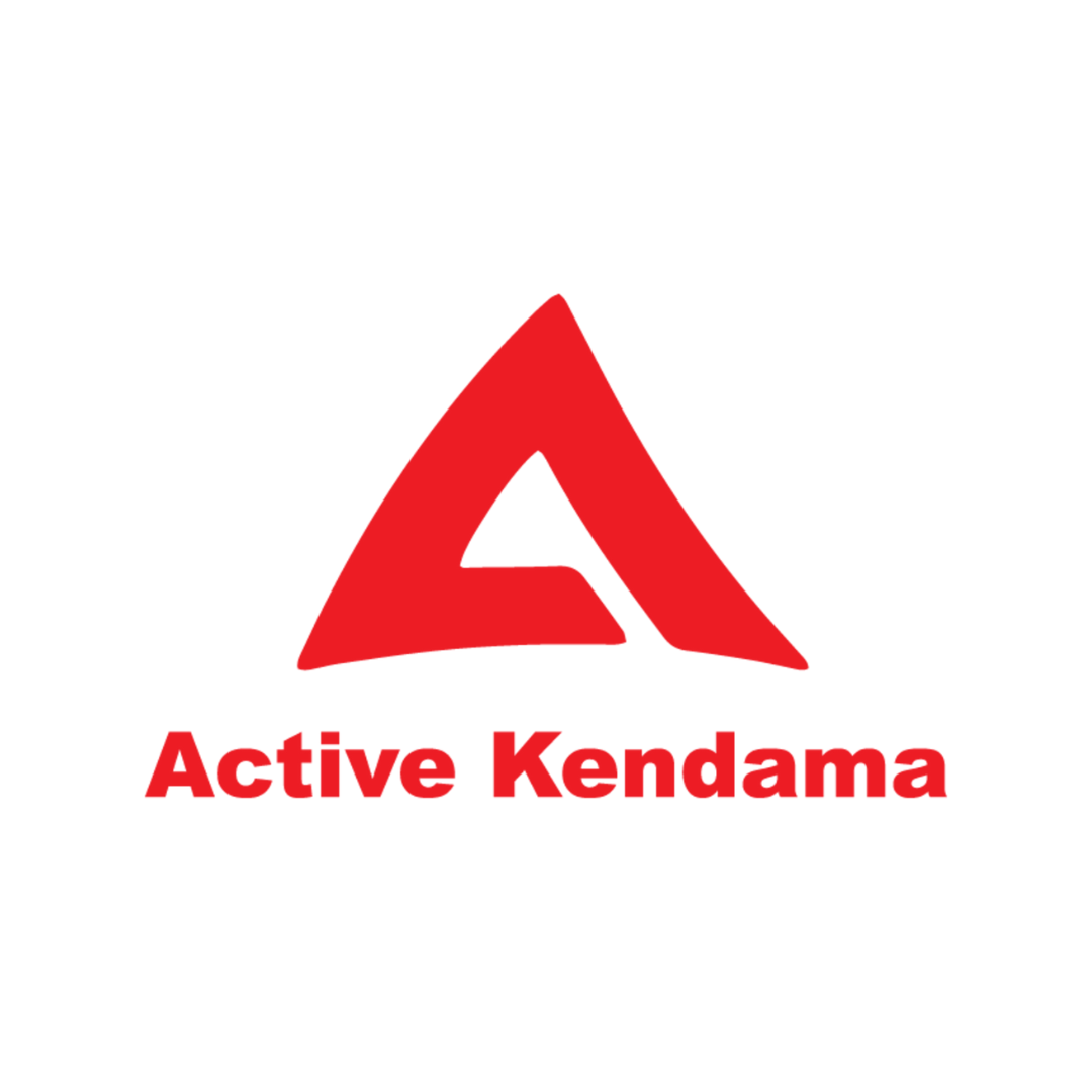 Active Kendama