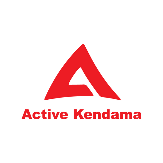 Active Kendama